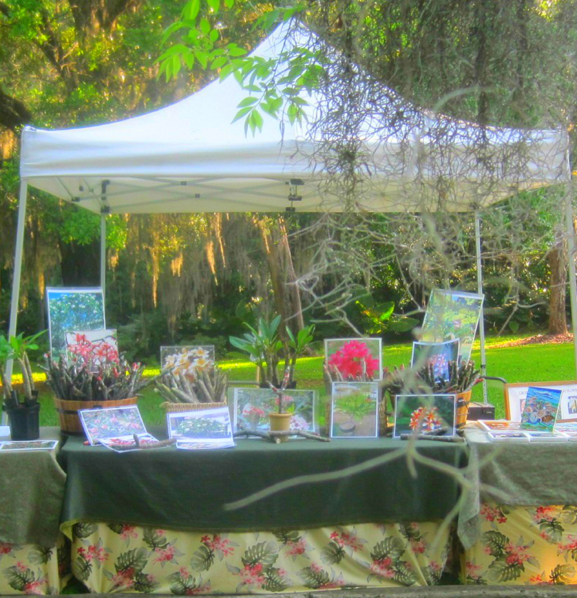 Just Plumerias First Market Stall 1995